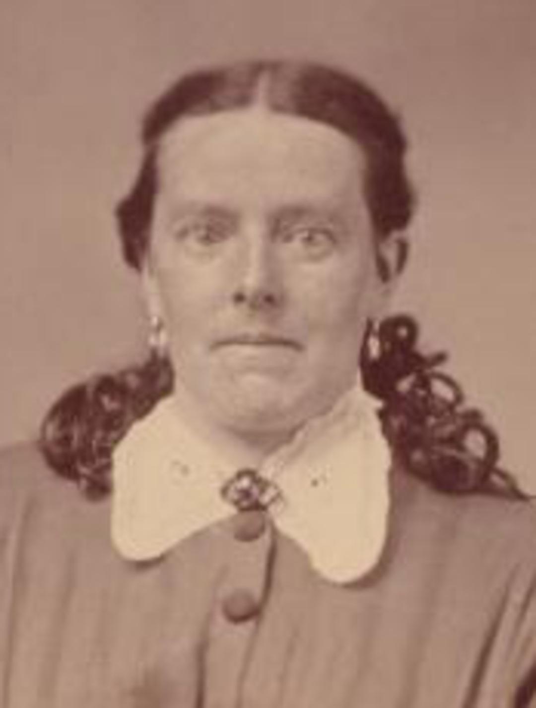 Hannah Platt (1842 - 1912) Profile